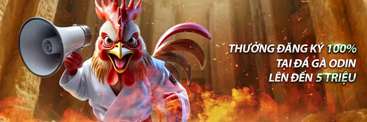 Hình ảnh giới thiệu keo bong đa 88